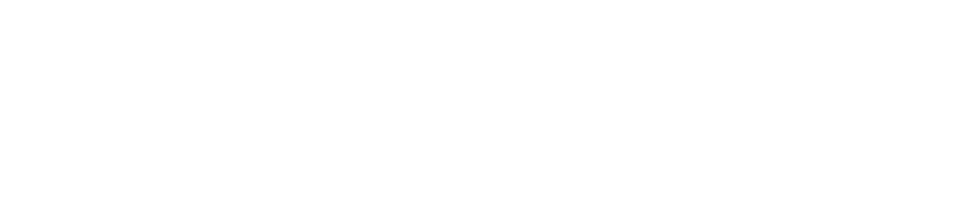 VSOL
